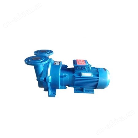 2BV水环式真空泵
