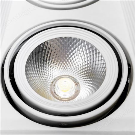 盖香云LED双头斗胆灯豆胆灯嵌入式天花灯双排斗胆灯COB款18W白色
