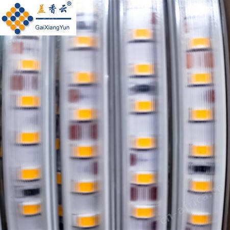 盖香云220V户外LED灯带金黄光10mm直排2835-120D-弧面拉丝