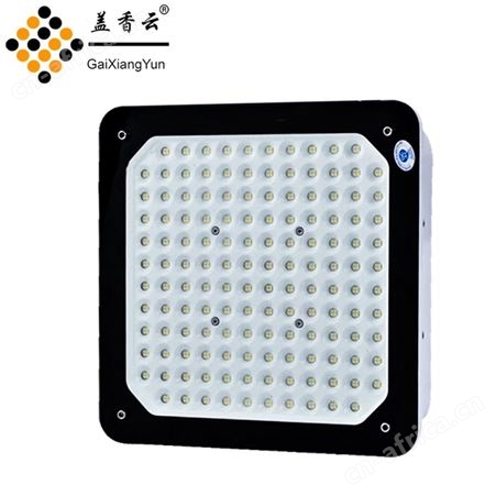 盖香云加油站防爆灯-LED油站灯-QRYZD-200W明装