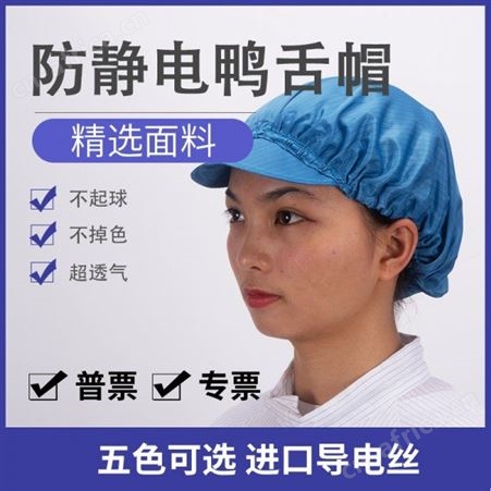 开网窗静电帽子 有檐无尘防护鸭舌帽  建博直销