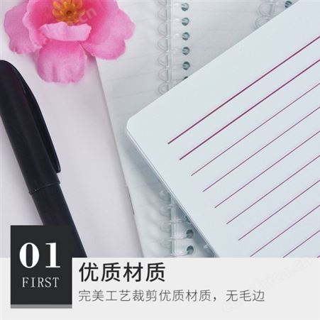 洁净室笔记本 活页螺旋装翻页记事本 不掉页笔记本