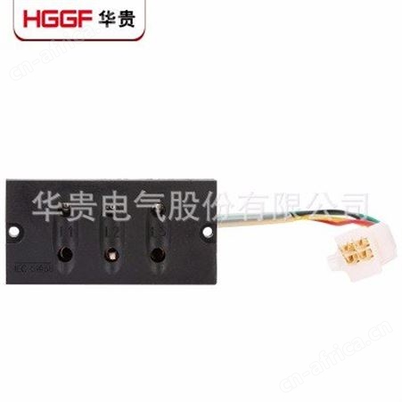 带电显示器_华贵电气_T型带电显示器_企业生产
