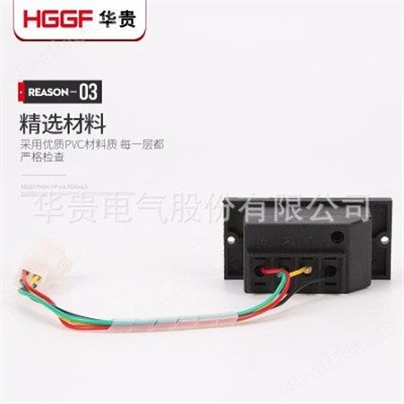 带电显示器，高压带电显示器，DXN8-Q带电显示器，华贵电气