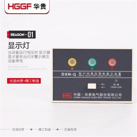 带自检验电带电显示器，高压带电显示器，华贵电气