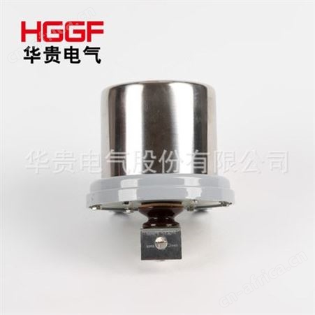 JCQ-2/800 C1 C2 C5避雷器运行监测器 放电计数器检测仪 厂家