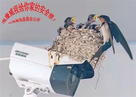 海康威视人脸抓拍筒形摄像头DS-2CD7T26DWD-IS