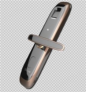 萤石DL21SC级锁芯指纹锁家用防盗门防小黑盒三年质保