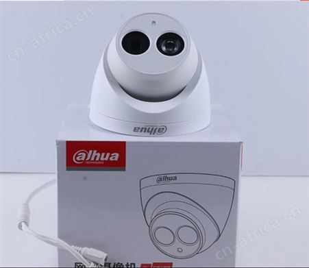 陕西浙江大华核心代理商半球DH-IPC-T12-V3网络摄像机百元机