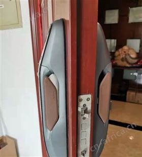 指纹萤石DL31FVS视频刷脸 极速识别 3D人脸解锁