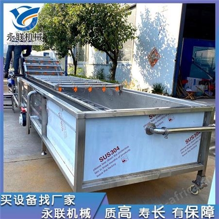 藏红花清洗机 羊肚菌清洗设备 气泡冲浪喷淋清洗机