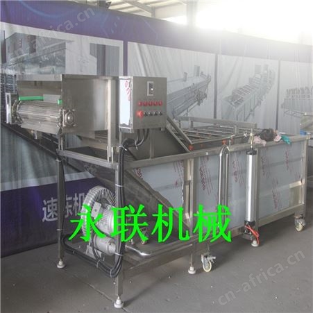 水果蔬菜滑子菇清洗机 大枣清洗机 豆芽菜气泡清洗机