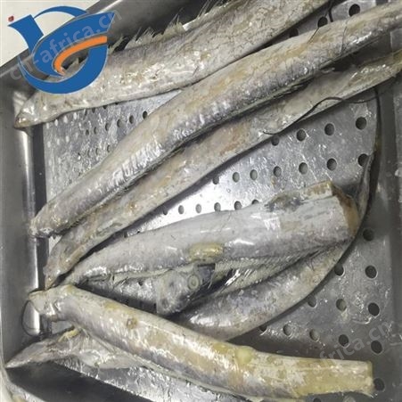 巴沙鱼速冻后挂冰机 巴沙鱼柳自动式挂冰机