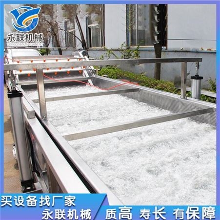 藏红花清洗机 羊肚菌清洗设备 气泡冲浪喷淋清洗机