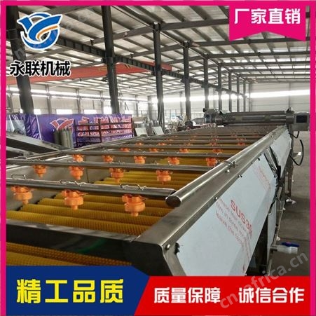 永联 果蔬毛刷清洗机直销 不锈钢毛刷清洗机直销