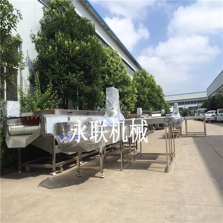烟台全自动生蚝毛辊清洗机设备 海鲜贝类去泥清洗机