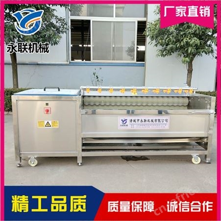 山芋毛辊清洗机 洋芋毛辊去泥清洗机 洋芋去皮磨皮机