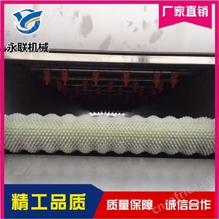 根茎类毛辊去泥清洗机 红薯土豆胡萝卜清洗机 毛辊式马铃薯地瓜清洗机