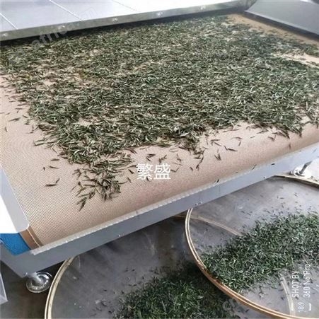 微波干燥烘干机 杀青杀茵机输送带网带 布带