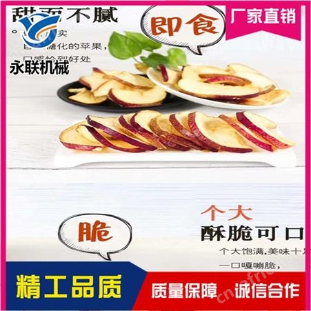 莲藕脆片全自动油炸机 果蔬脆片油炸生产线