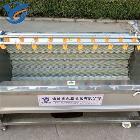 根茎类毛辊去泥清洗机 红薯土豆胡萝卜清洗机 毛辊式马铃薯地瓜清洗机
