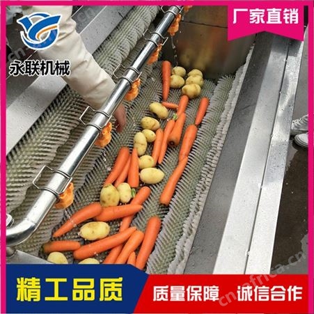芋头全自动毛辊去皮清洗机 芥菜毛刷去皮清洗机