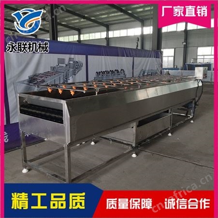 贝壳类毛刷清洗机直销 永联 全自动毛刷清洗机