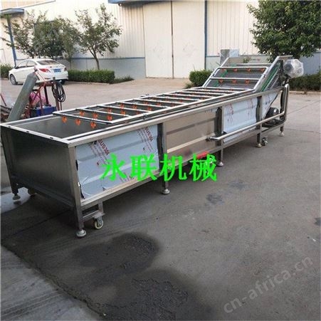樱桃全自动冰水气泡清洗机 葡萄冰水清洗机
