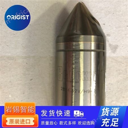 Bruckner机床夹具2855.45V