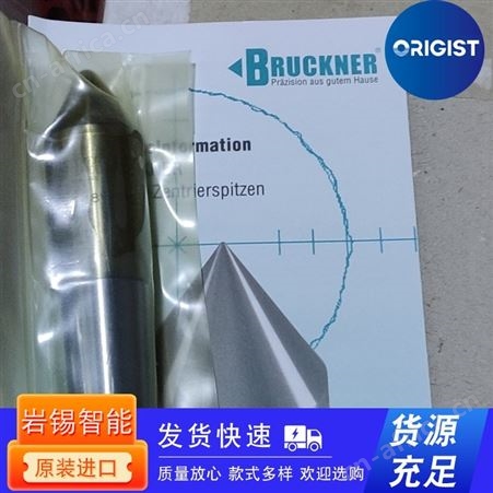 Bruckner机床夹具2855.45V