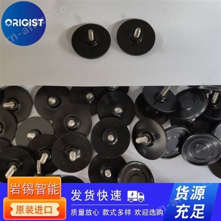Torwegge滚轮SR100-50-8/0023985