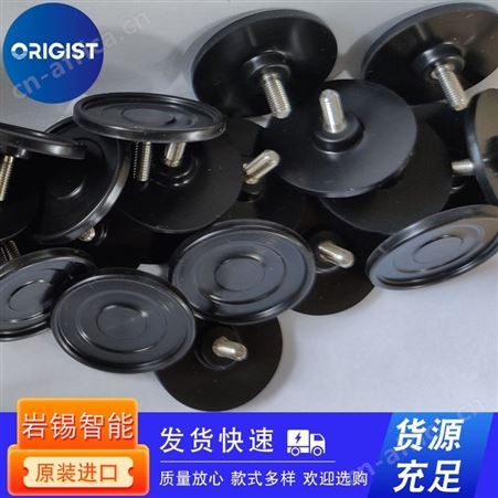 Torwegge滚轮SR100-50-8/0023985