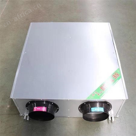扬兴吊顶式新风换气机 中型PM2.5四重过滤 别墅办公室全热交换器
