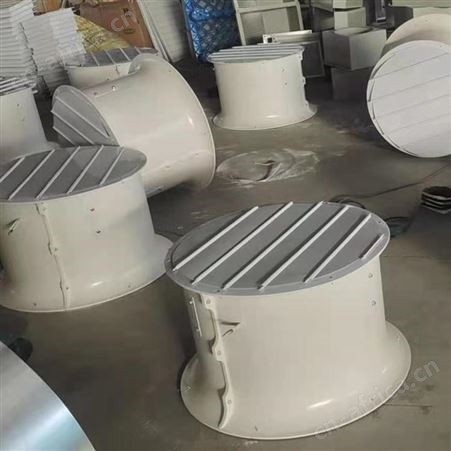 山东扬兴防腐风机厂家 排烟风机厂家