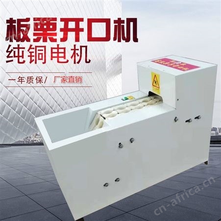 腾拓板栗开口机全自动商用电动切口机划口机栗子锥栗单双链板割油栗子机
