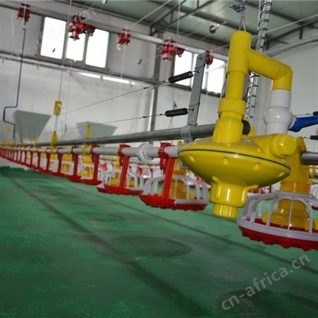 平养鸡自动化 饮水器 厂家定制 畜牧养殖场自动化饮水系统