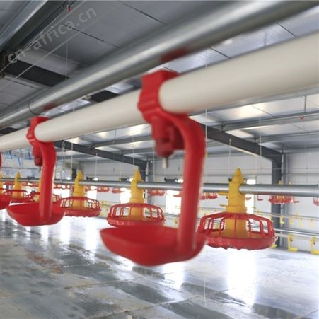 平养鸡自动化 饮水器 厂家定制 畜牧养殖场自动化饮水系统