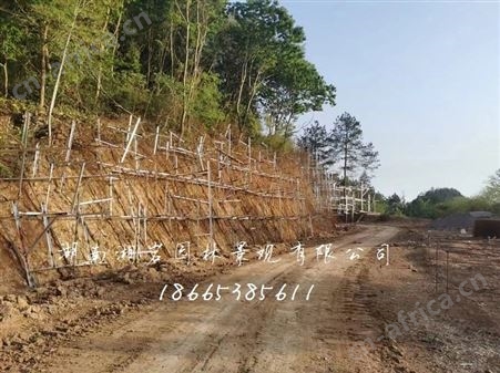 赣州假山设计 塑石假山景观制作 施工制作假山 水泥假山湘岩园林