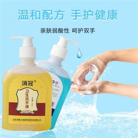 消冠 洗手液 500ml 消冠总代理商 总经销商