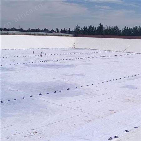 土工布聚脂土工布公路养护土工布厂家山东土工布厂家定制