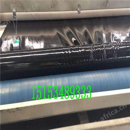 HDPE防渗膜高密度聚乙烯鱼塘防渗土工膜 养殖沼气池防渗土工膜