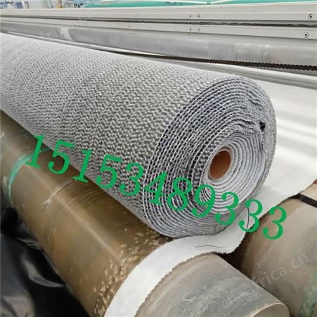生产厂家GCL钠基膨润土防水毯 垃圾填埋覆膜防水毯 膨润土防水毯
