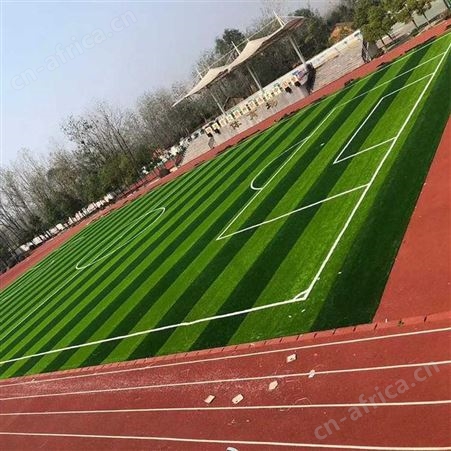 成都幼儿园塑胶跑道EPDM地胶硅pu蓝球场丙烯酸场地学校操场施工