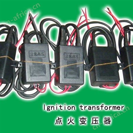 点火变压器  COFI点火变压器