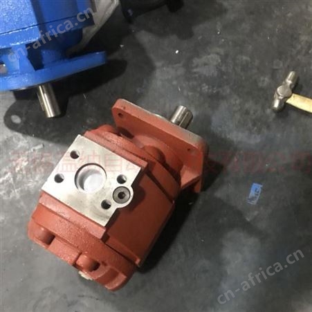 CMG2040-CMG2050-139长江液压齿轮马达 渔船马达 工程机械马达 温纳厂家供应