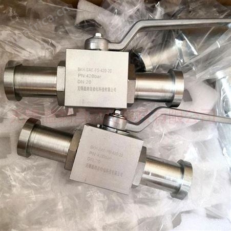 温纳球形截止阀Q11NS-20-32，Q11NS-20-40高压球阀厂家
