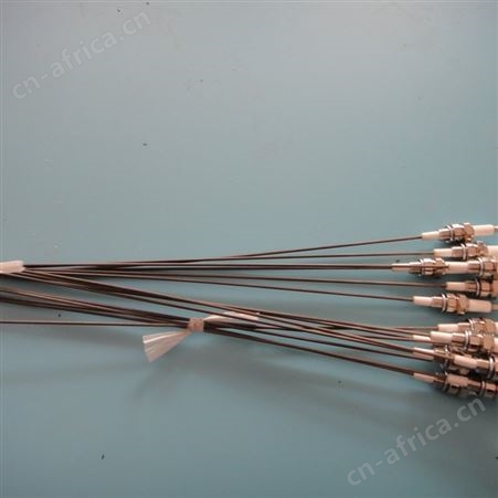 点火变压器  COFI点火变压器