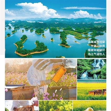 陕西恒亮蜂皇浆冻干粉采购批发