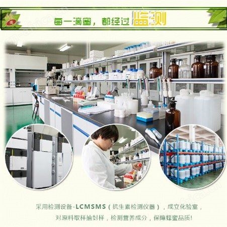 蜂蜜原料 恒亮 土蜂蜜一斤土蜂蜜价格 真蜂蜜价格蜂产品土特产土蜂蜜批发采购