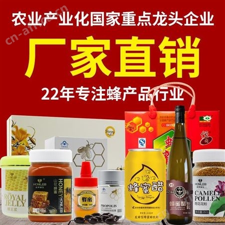 恒亮蜜饯蜂蜜原料一件代发